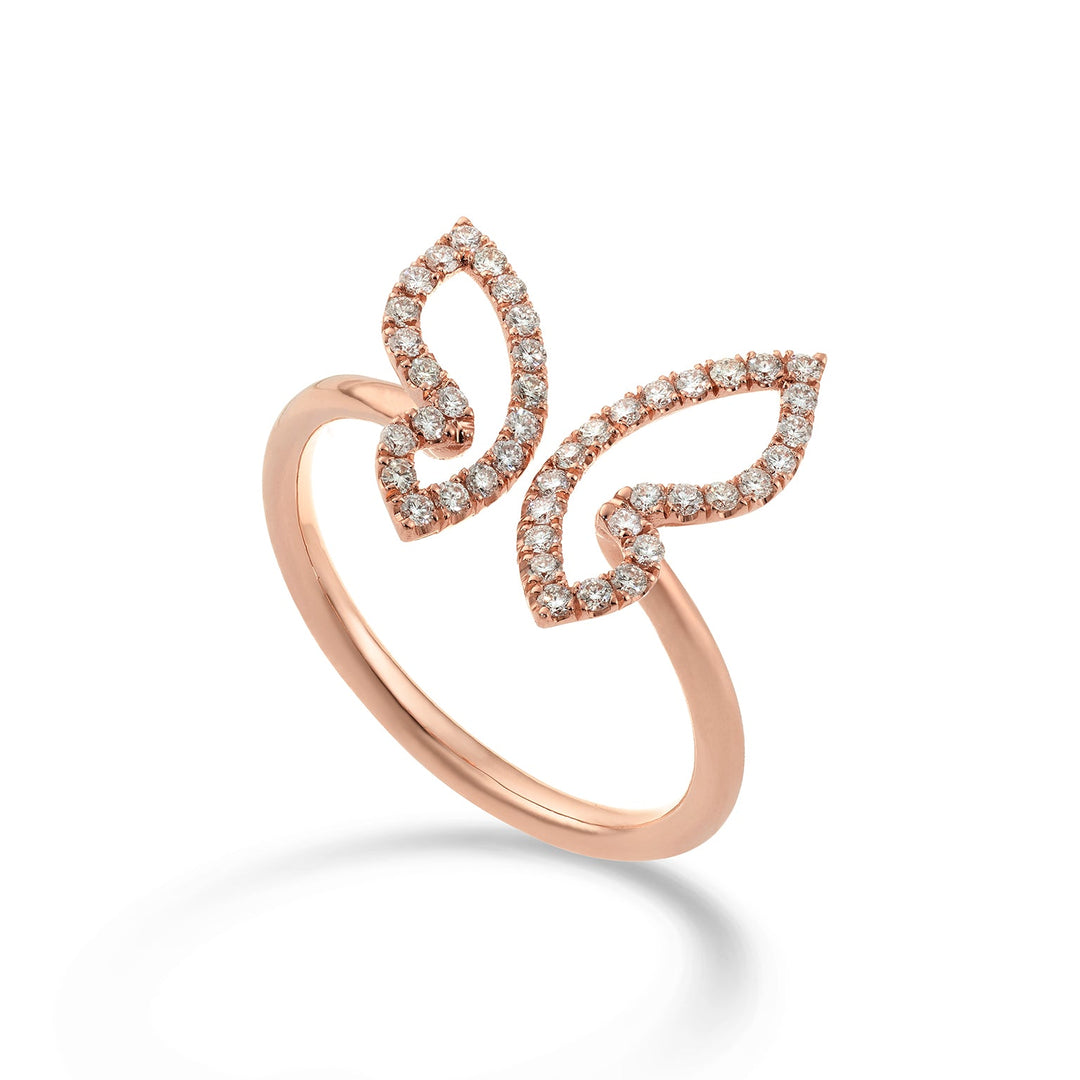 Golay Butterfly Ring